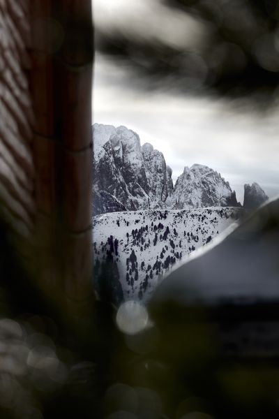 OdlesLodge-Nature-Winter-©Odles Lodge_Konstantin Volkmar (14).jpg