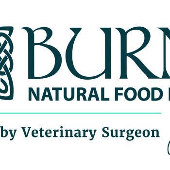 Burns Logo - Developed by.jpg