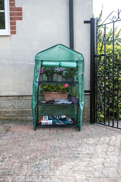 T&C 3 Tier Greenhouse