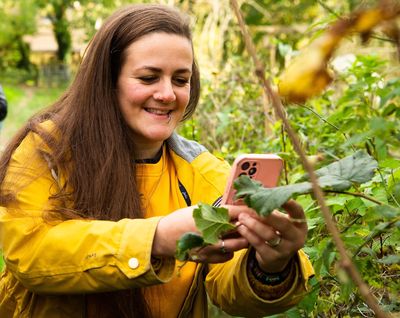 Citizen scientists spot nearly 2,000 signs of spring across Britain in Fields Studies Council and Royal Society of Biology survey.jpg