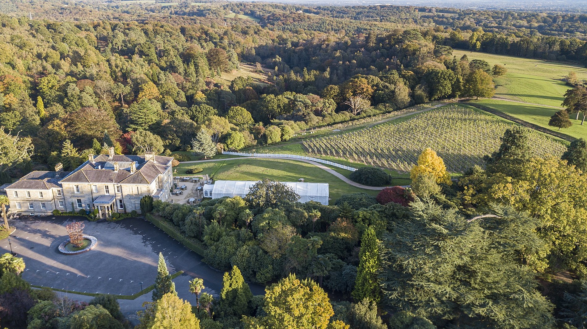 Leonardslee House and Vineyard 2.jpg