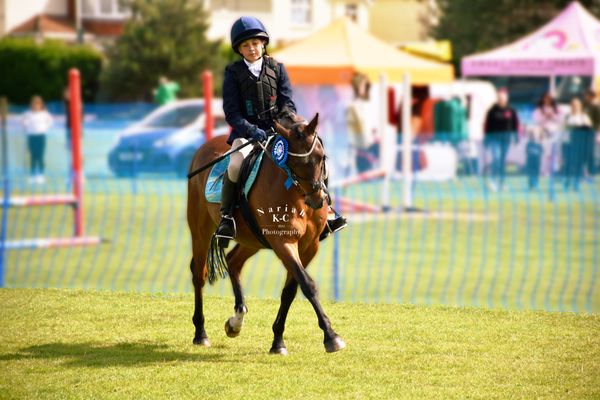Show Jumping Winner
