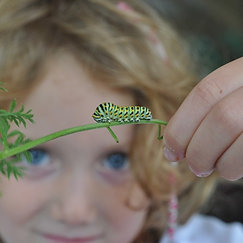 FSC Bishops Wood open day.jpg