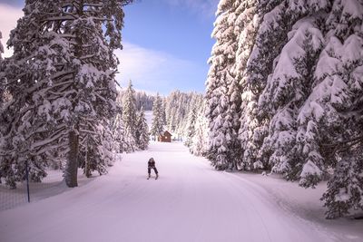 Pohorje Rogla