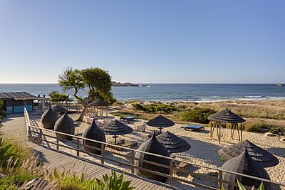 Beach Hangout.jpg