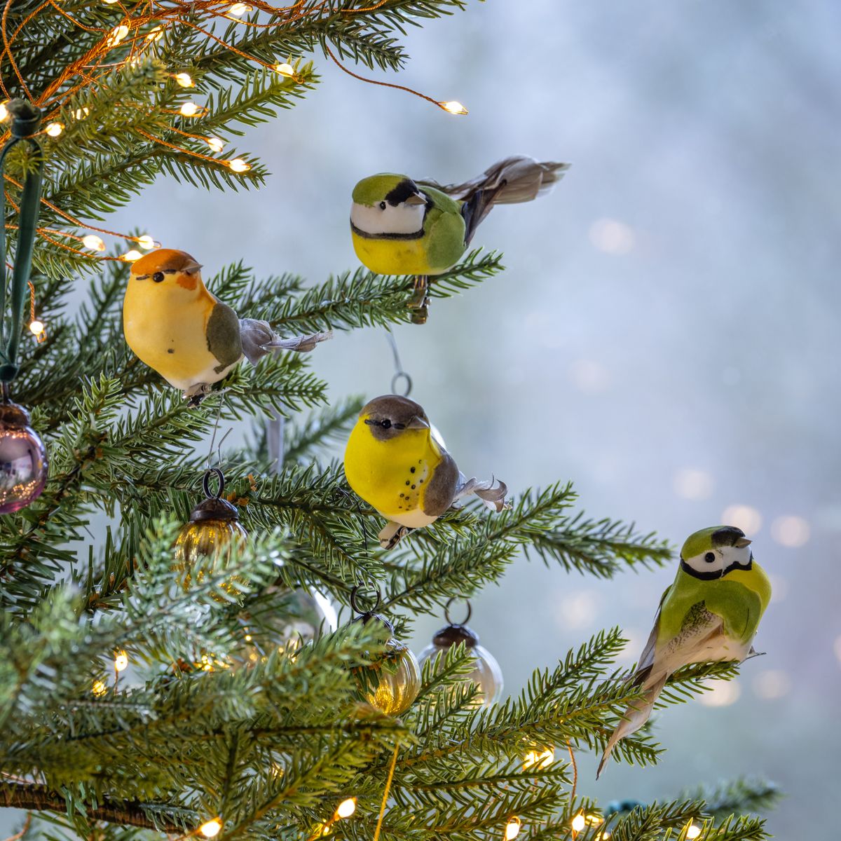 Garden Birds 2.jpg