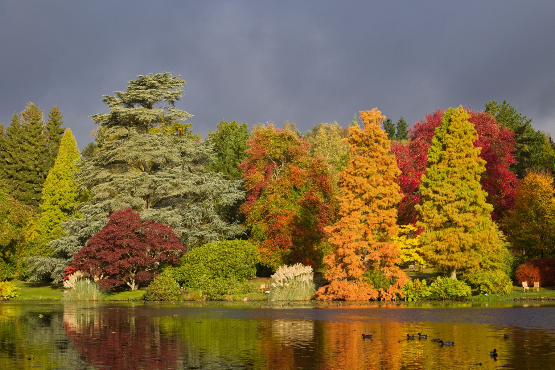 Sheffield Park