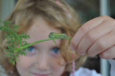 FSC Bishops Wood open day.jpg