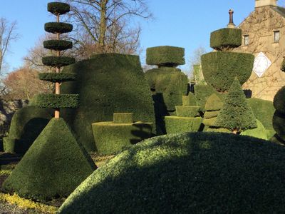The world's oldest topiary garden, at Levens Hall and Gardens, Cumbria, UK.