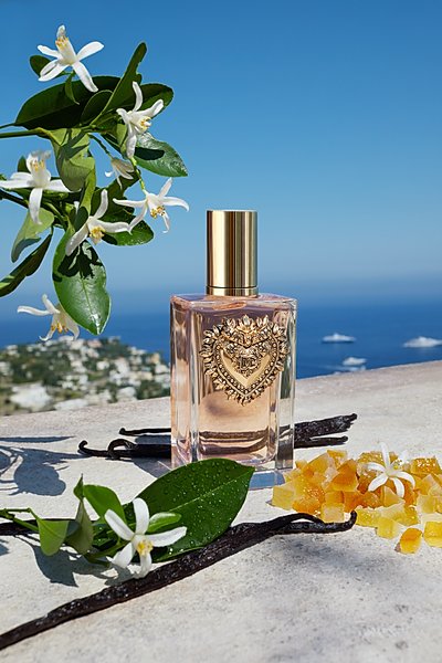 Dolce&Gabbana Beauty