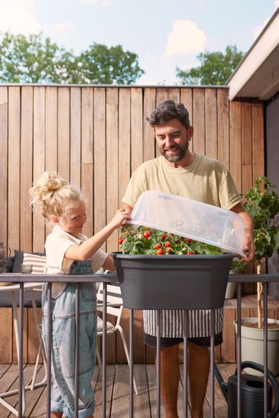 green basics balcony grow set 55cm living black