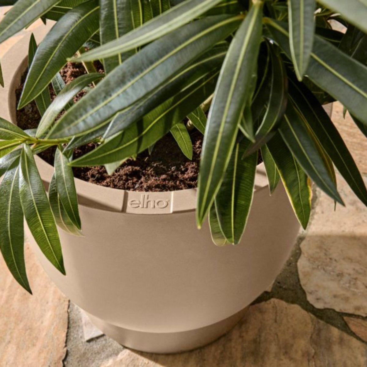 Charles Bentley partners with sustainable plant pot innovator elho to stock premium collection 