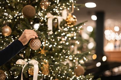 Florian_Andergassen_web_Christmas_3.jpg