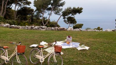 SV_Picnic (1).jpg