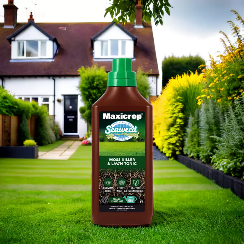 Moss Killer and Lawn Tonic