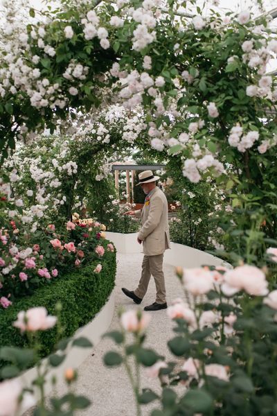 David Austin Roses receive 29th Gold for ‘The King’s Rose’ Showcase at RHS Chelsea Flower Show 2025