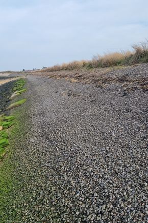 4 Stangate 5 years after completion.jpg