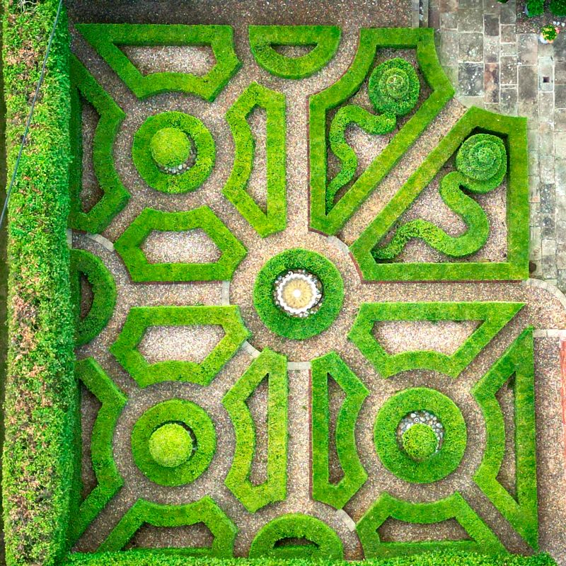 Paul Everden - First Place in UK Home Gardener Category