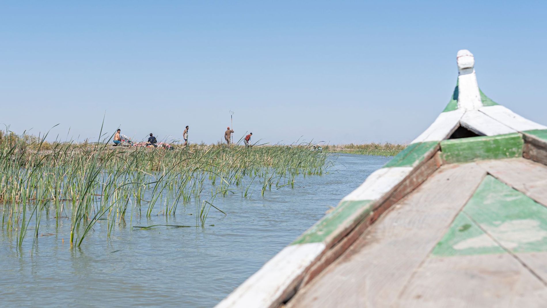 mesopotamian-marshes-iraq.jpg