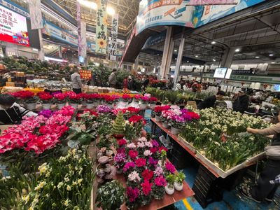 Dounan Flower Market  (2).jpg