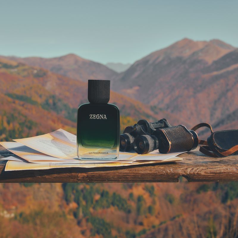 Vol. V — LA PANORAMICA